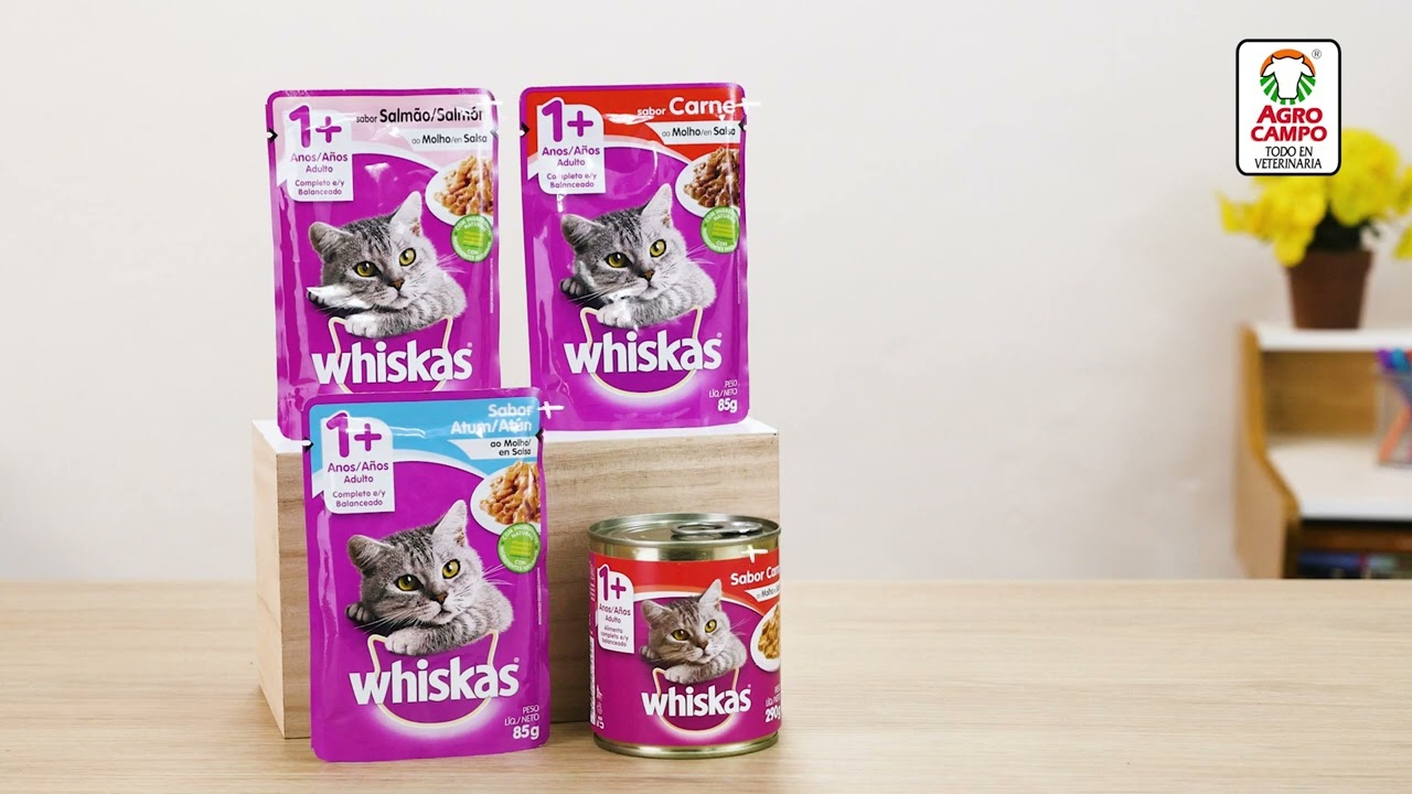 alimento humedo para gatos whiskas