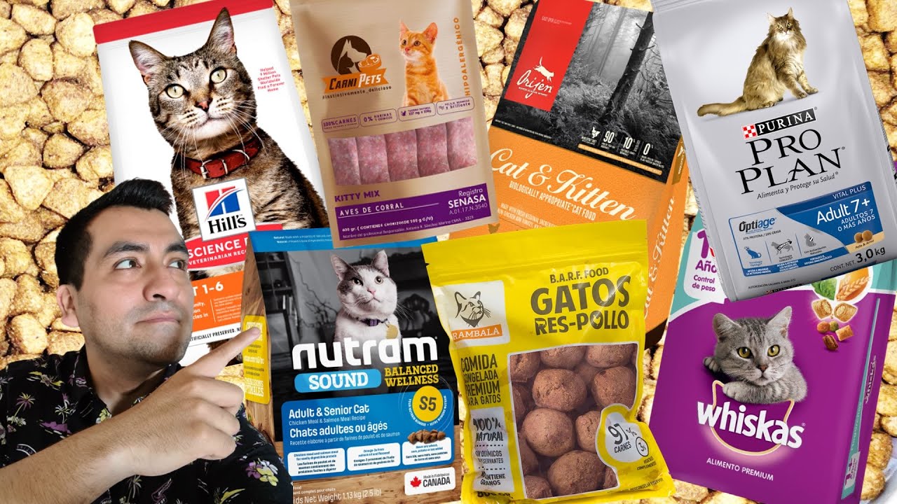 alimento para gatos premium