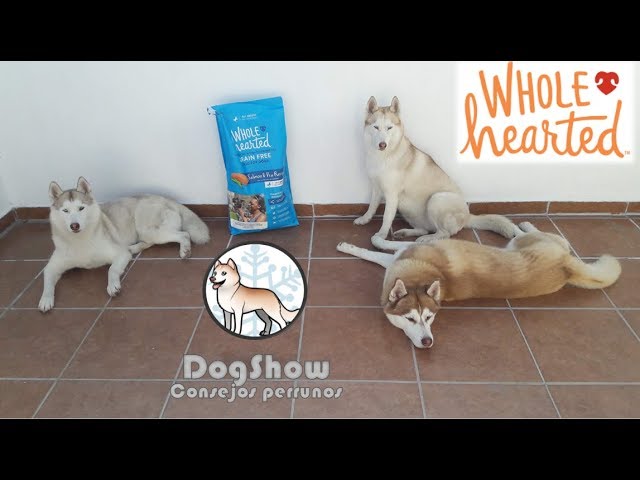 alimento para perros wholehearted