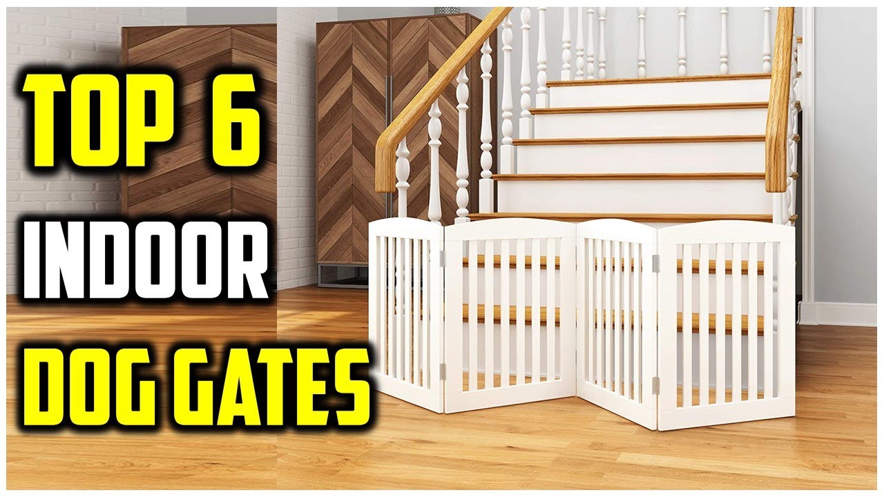 animal gates indoor for dogs