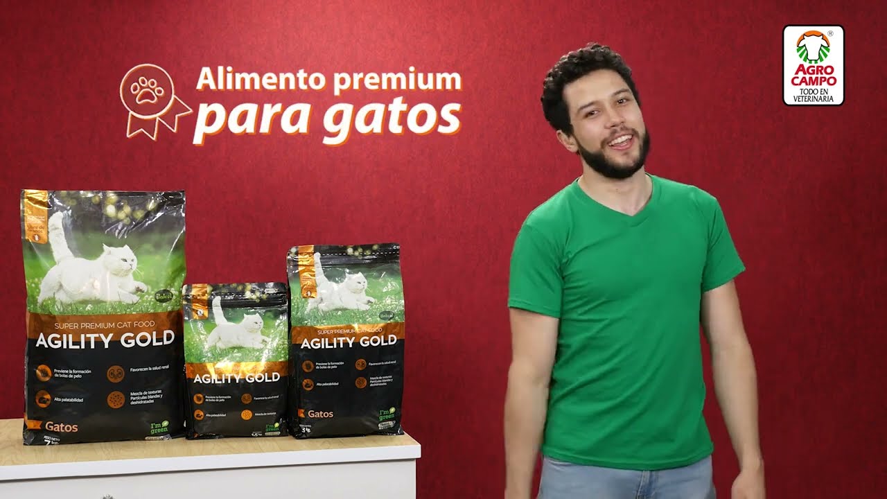 comida para gatos agility gold