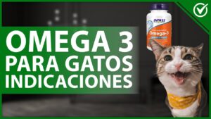 comida-para-gatos-con-omega-3