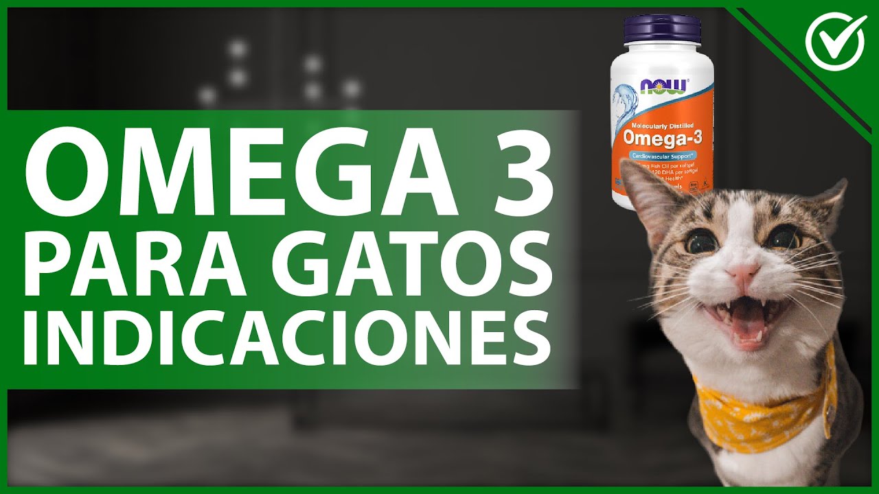 comida para gatos con omega 3