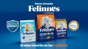 comida-para-gatos-felinnes