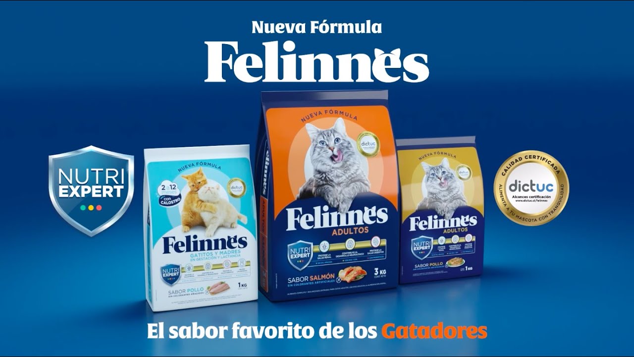 comida para gatos felinnes