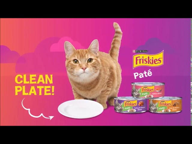 comida para gatos friskies