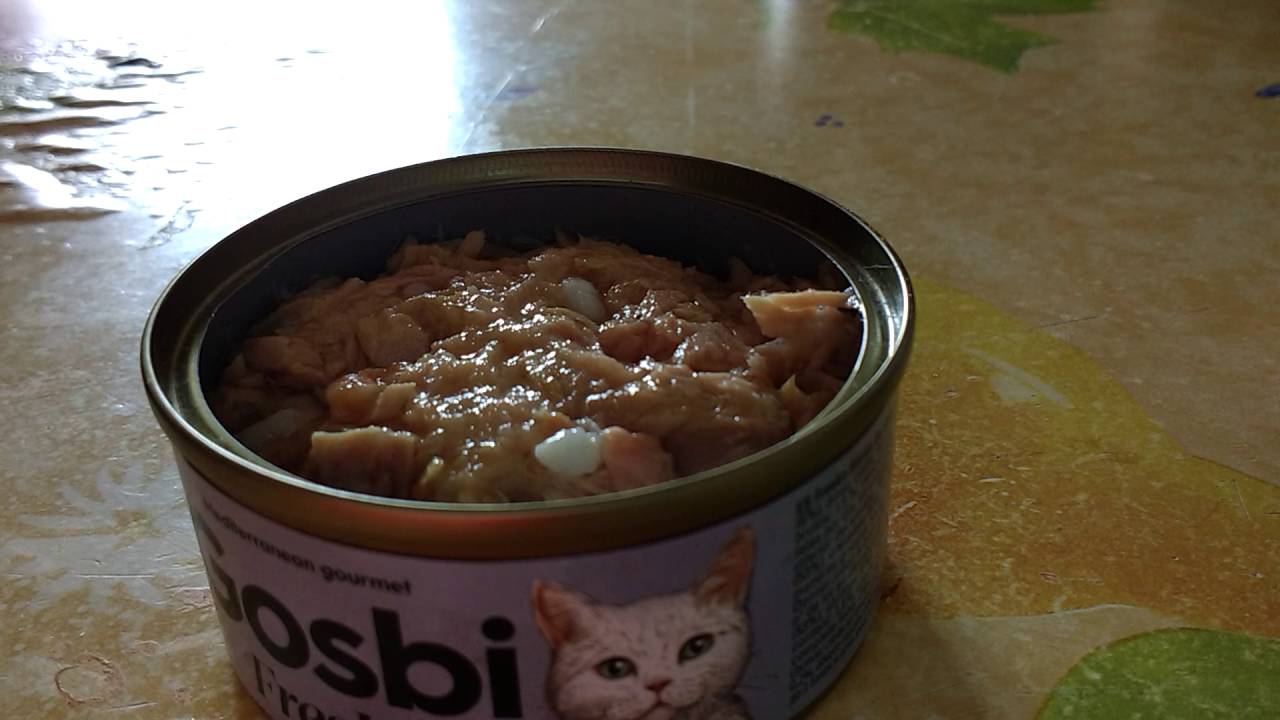 comida para gatos gosbi