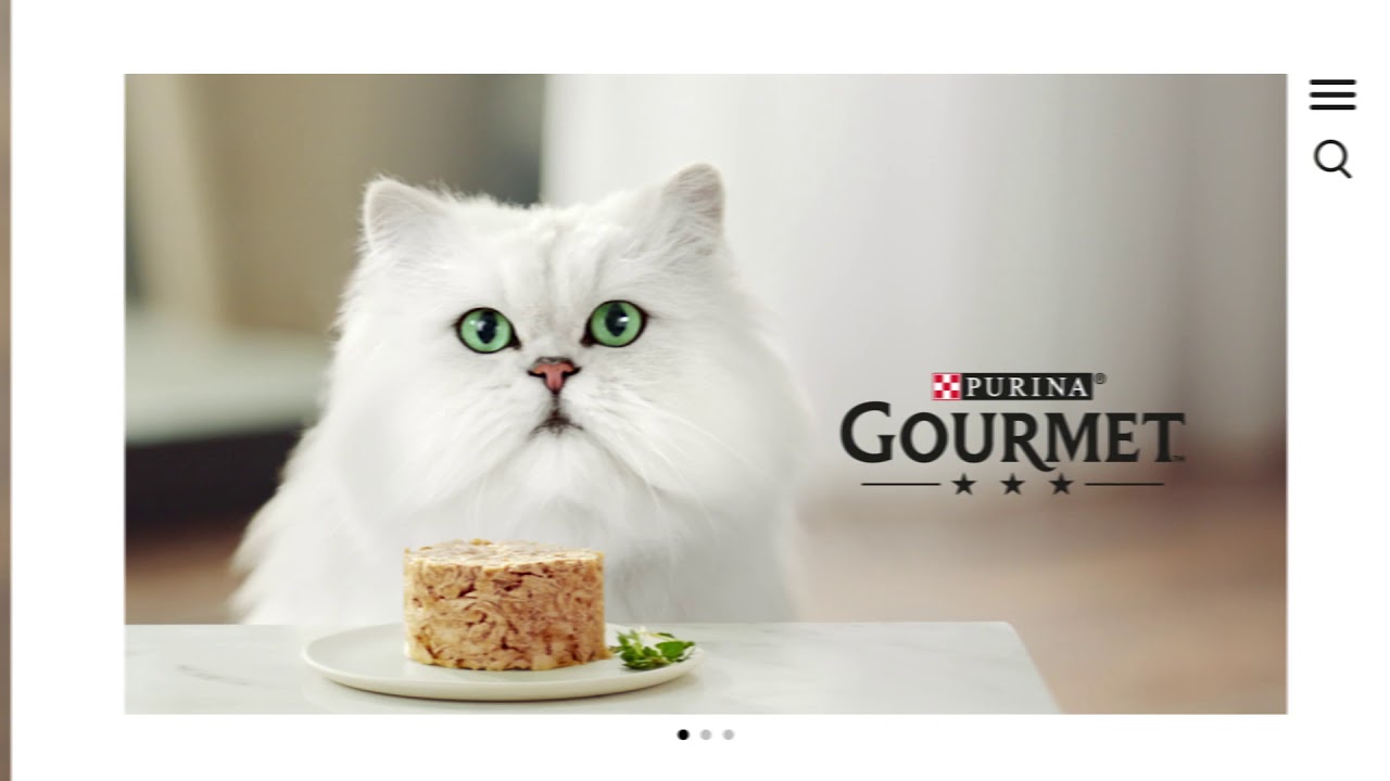 comida para gatos gourmet gold