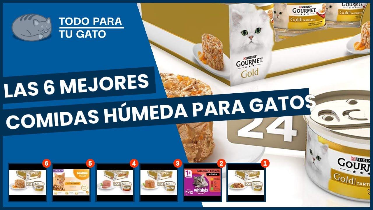 comida para gatos humeda grilled