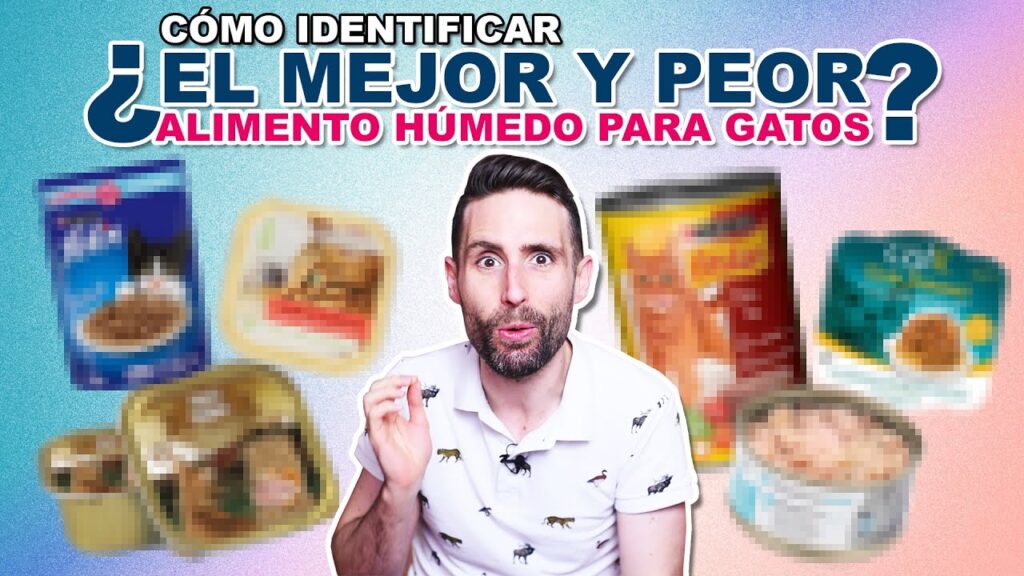 comida para gatos leroy