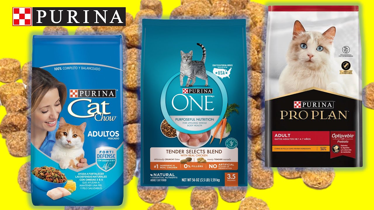 comida para gatos purina one