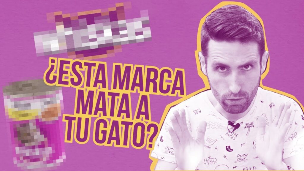 comida para gatos whiskas pienso