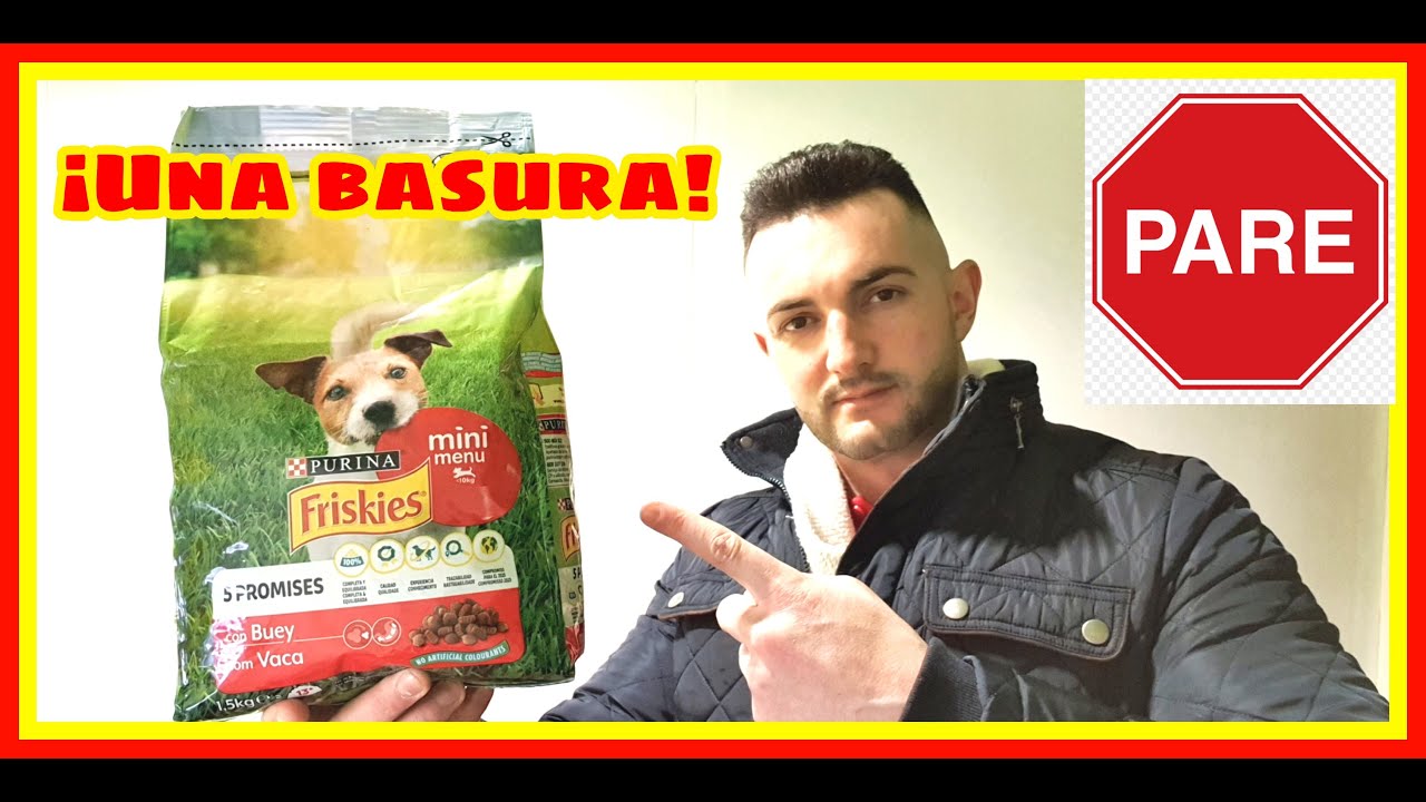 comida para perros friskies