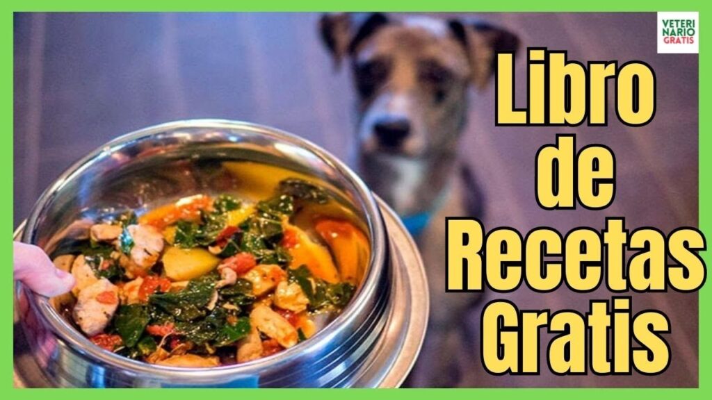 comida para perros gratis