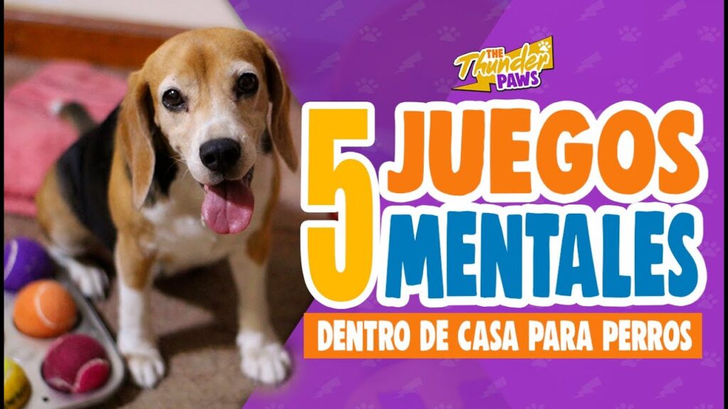 comida para perros juegos