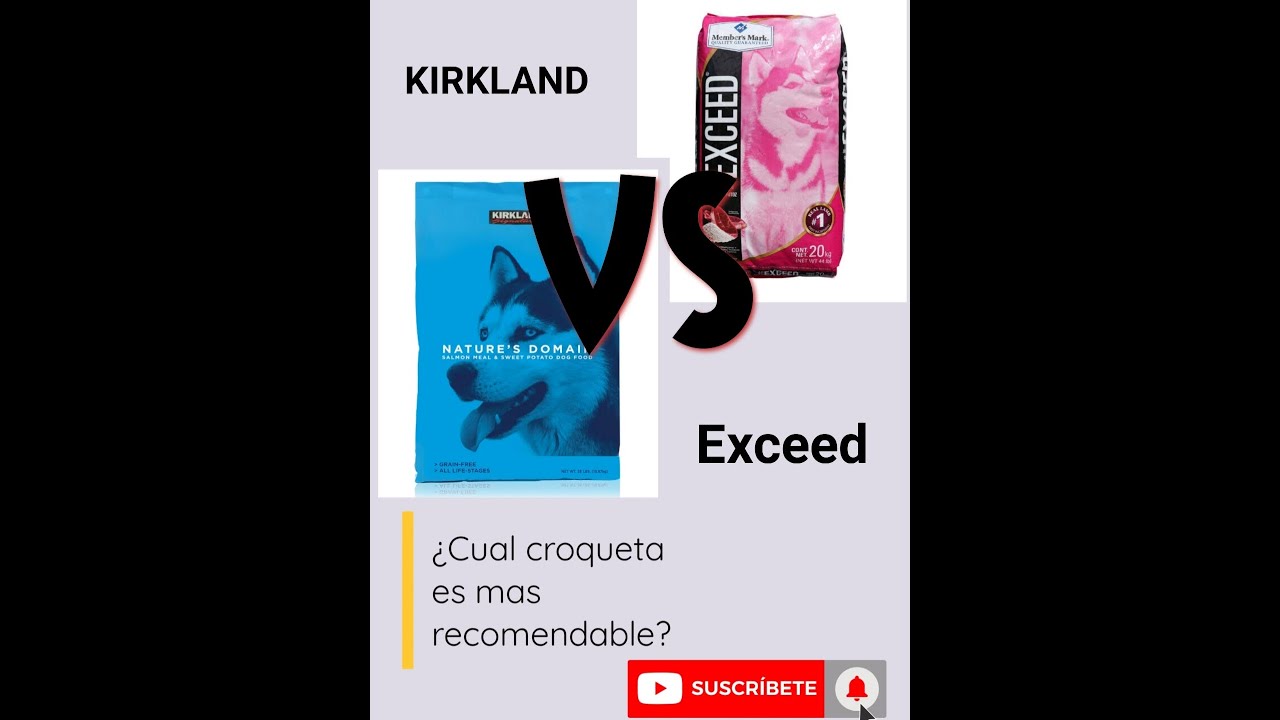 comida para perros kirkland