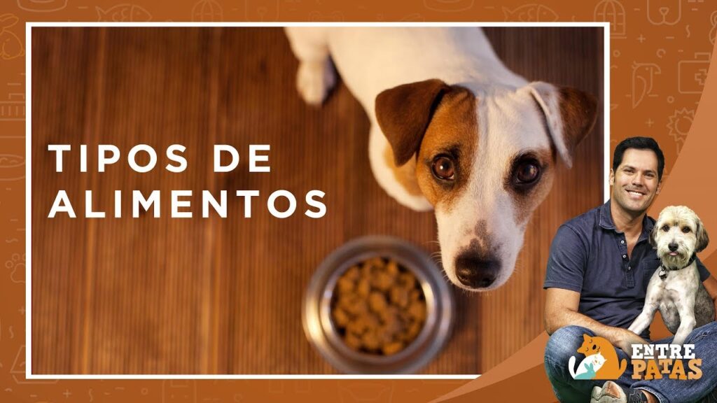 comida para perros lima