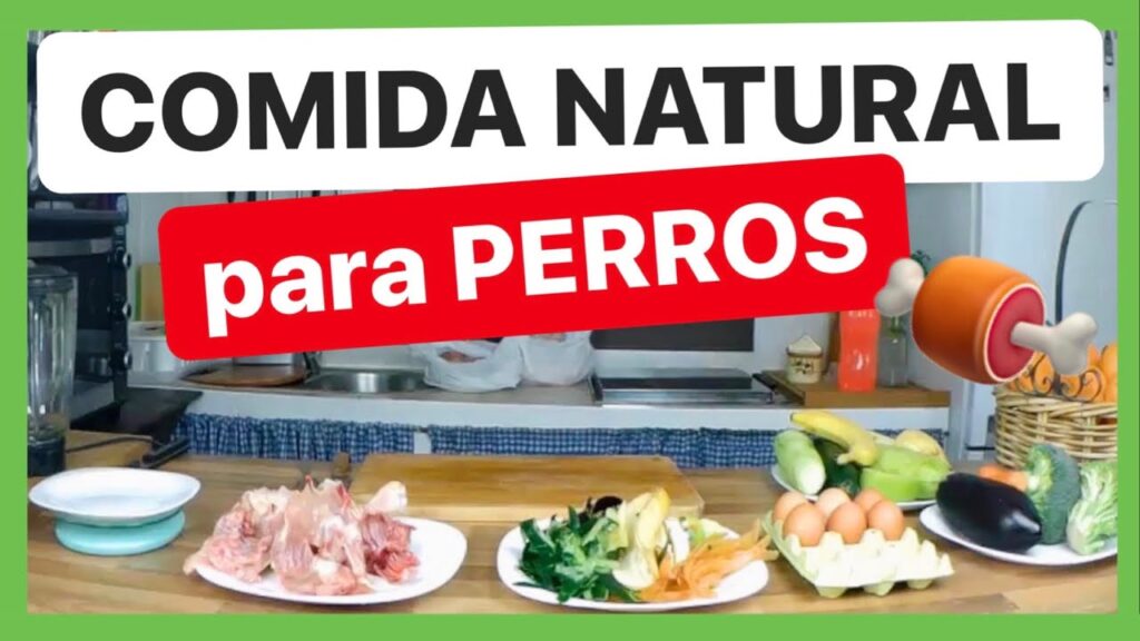 comida para perros natural