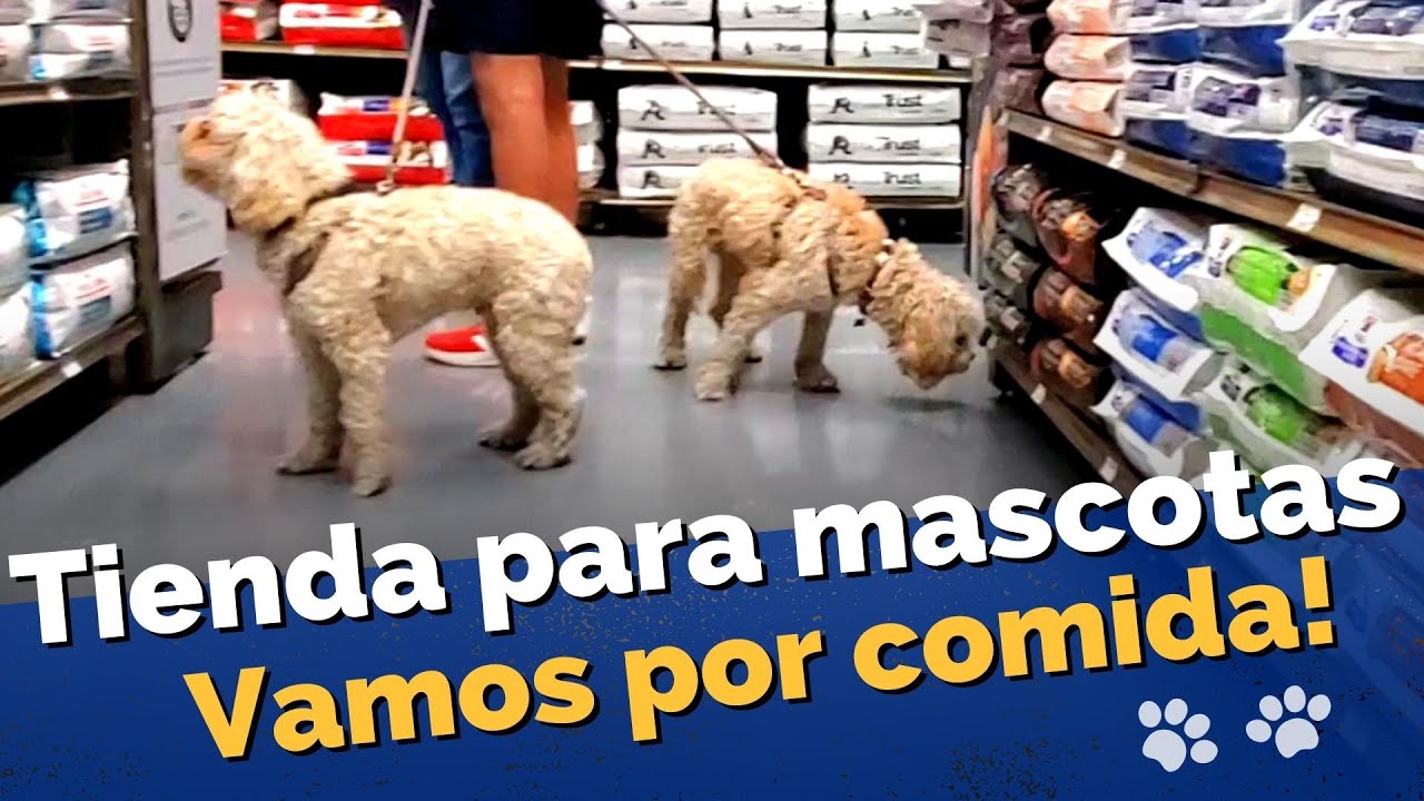 comida para perros petco