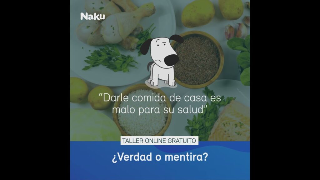 comida para perros wits