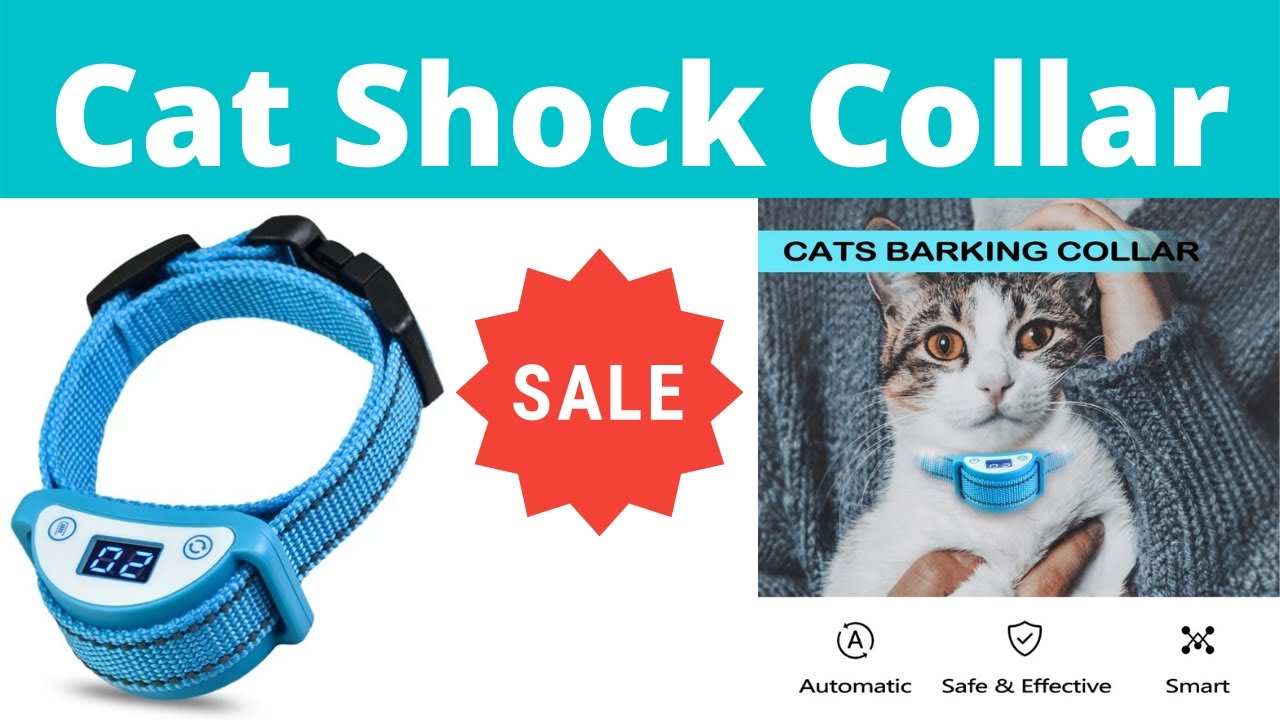 gatos accesorios collar de choque