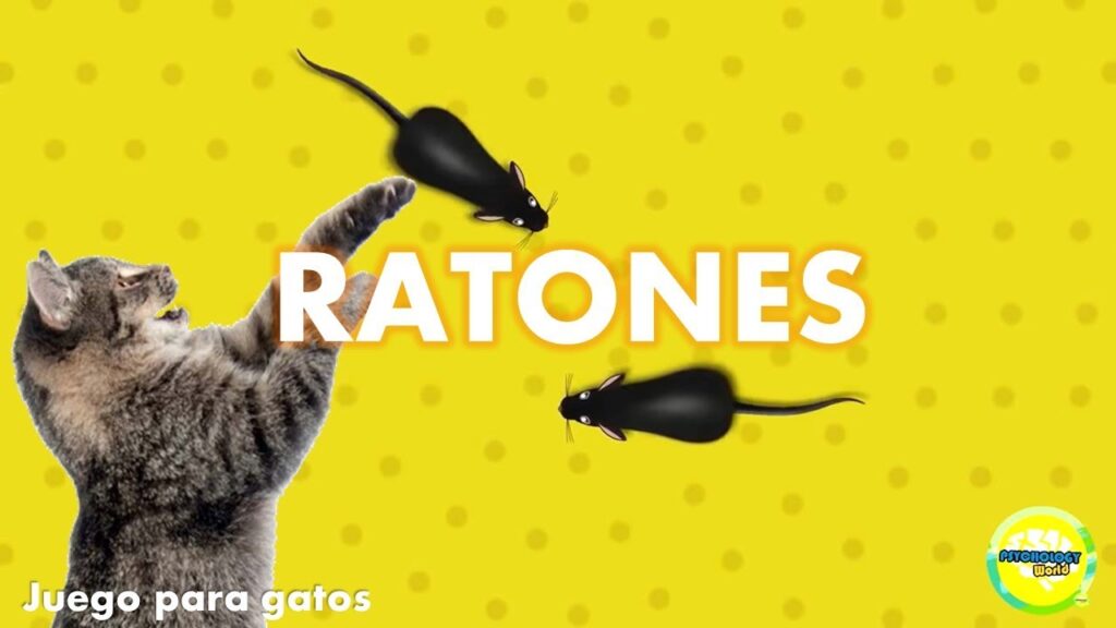 gatos juegos