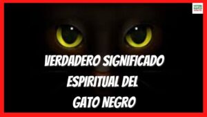 gatos-negro-significado-espiritual