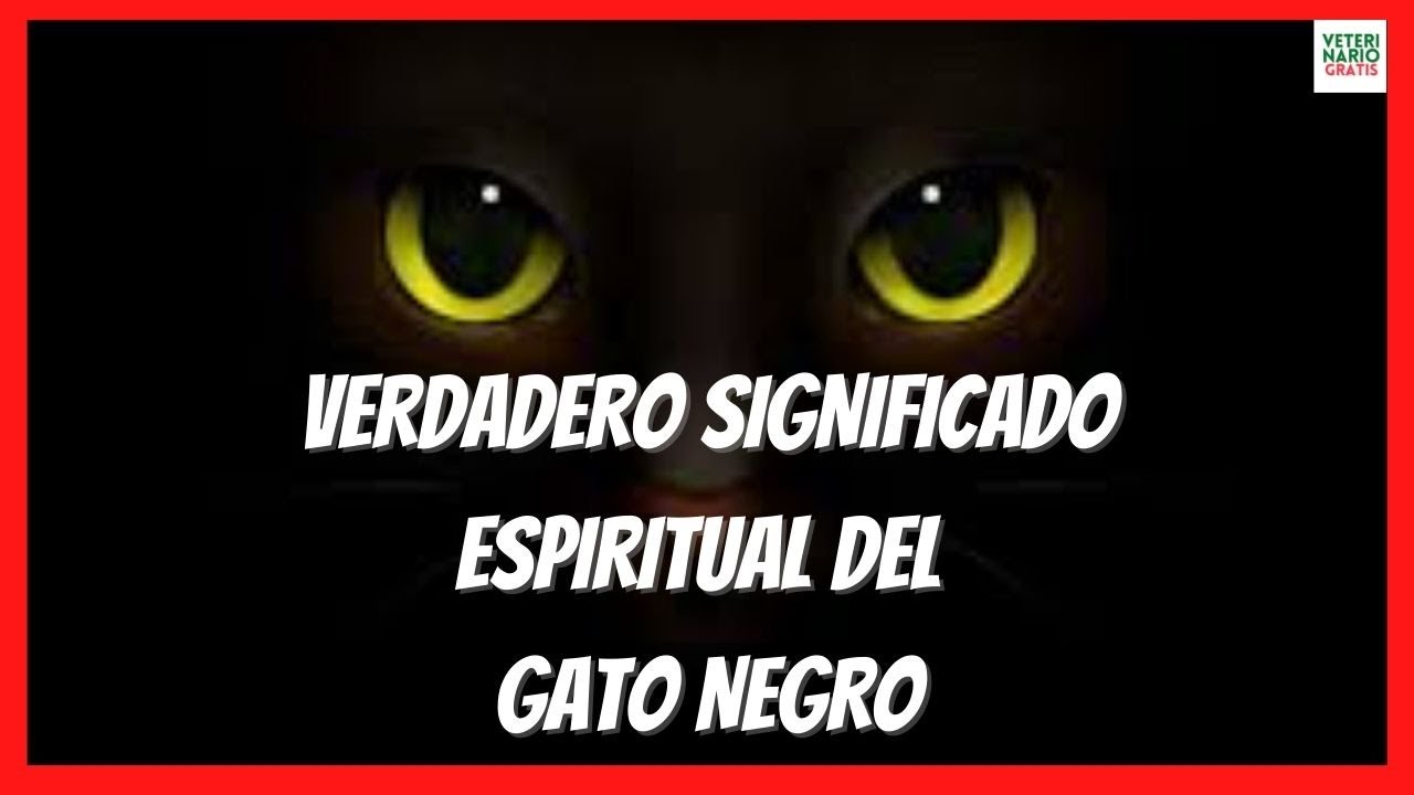 gatos negro significado espiritual