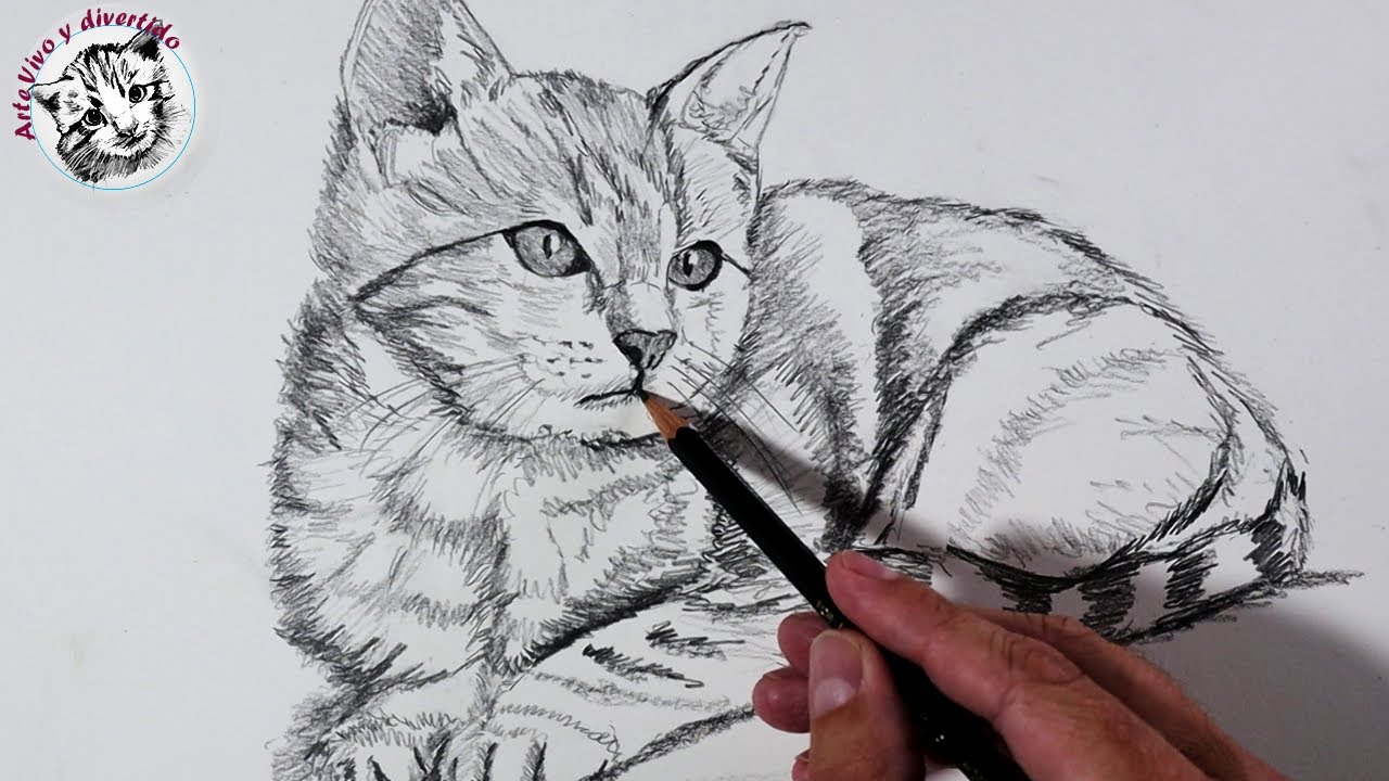 gatos para dibujar a lapiz