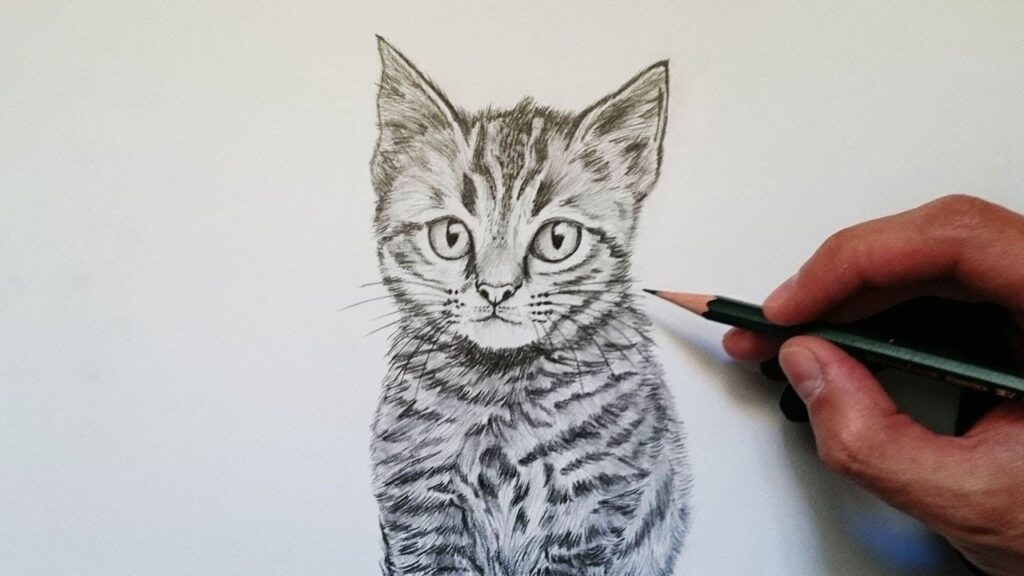 gatos realistas