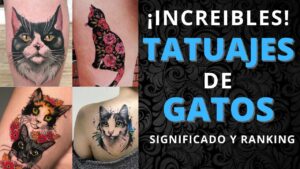 gatos-tatuajes
