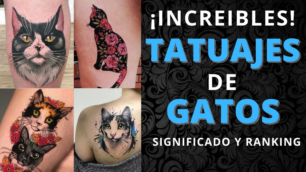 gatos tatuajes