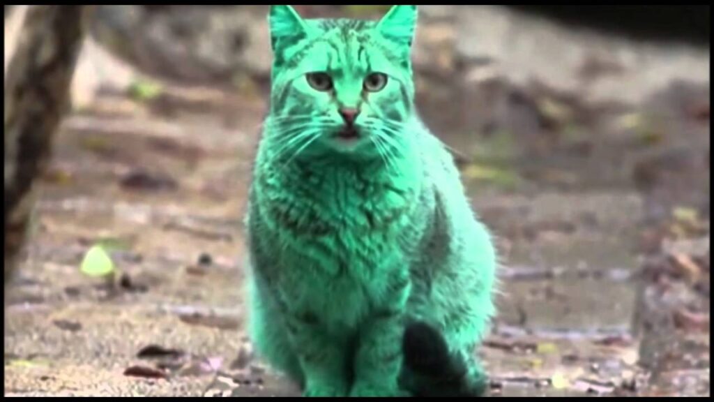 gatos verdes existen