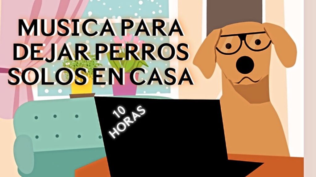 perros en casa