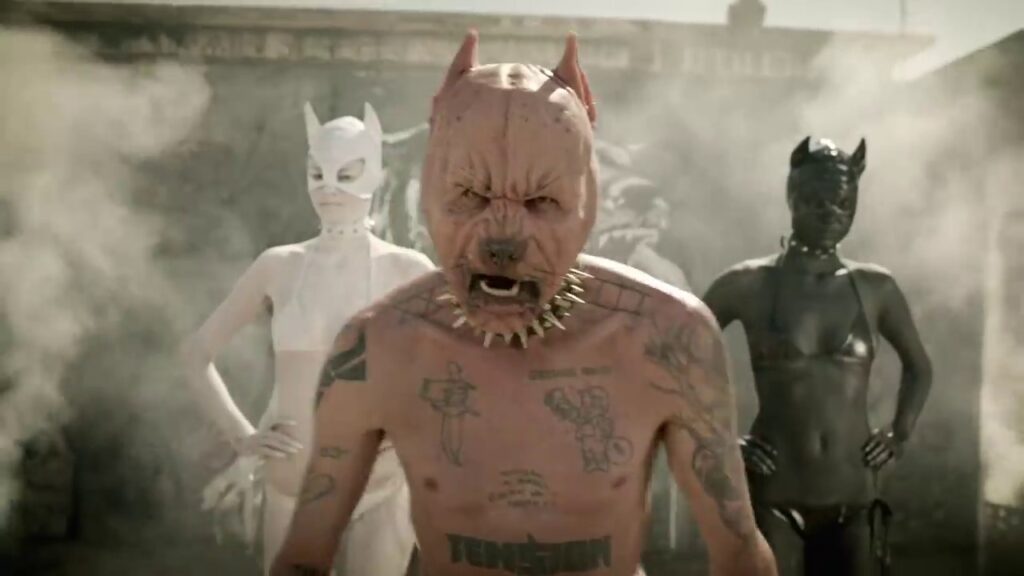 perros pitbull