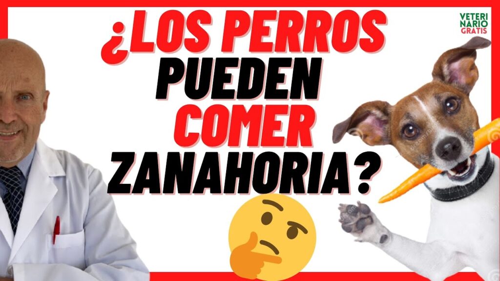 perros zanahoria