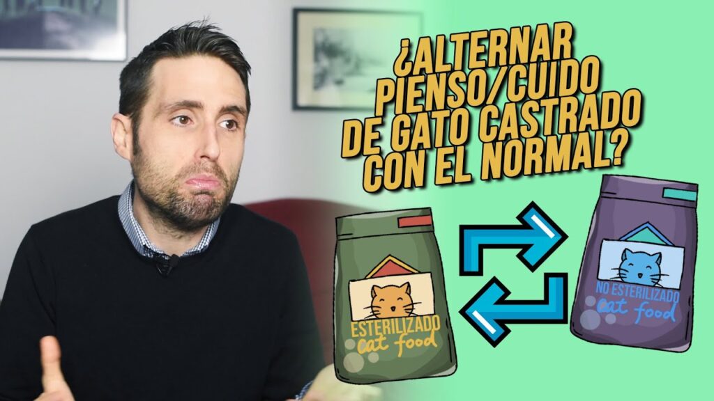 pienso para gatos mayores esterilizados