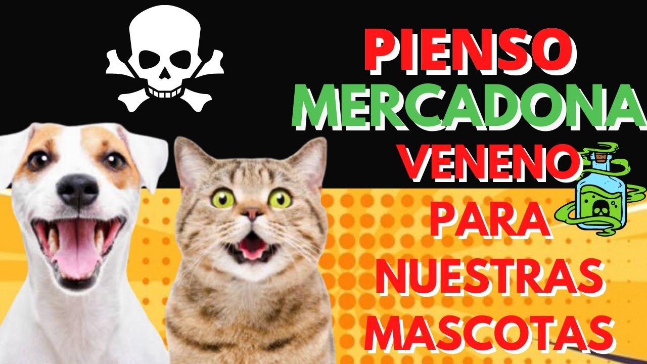 pienso para gatos mercadona precio