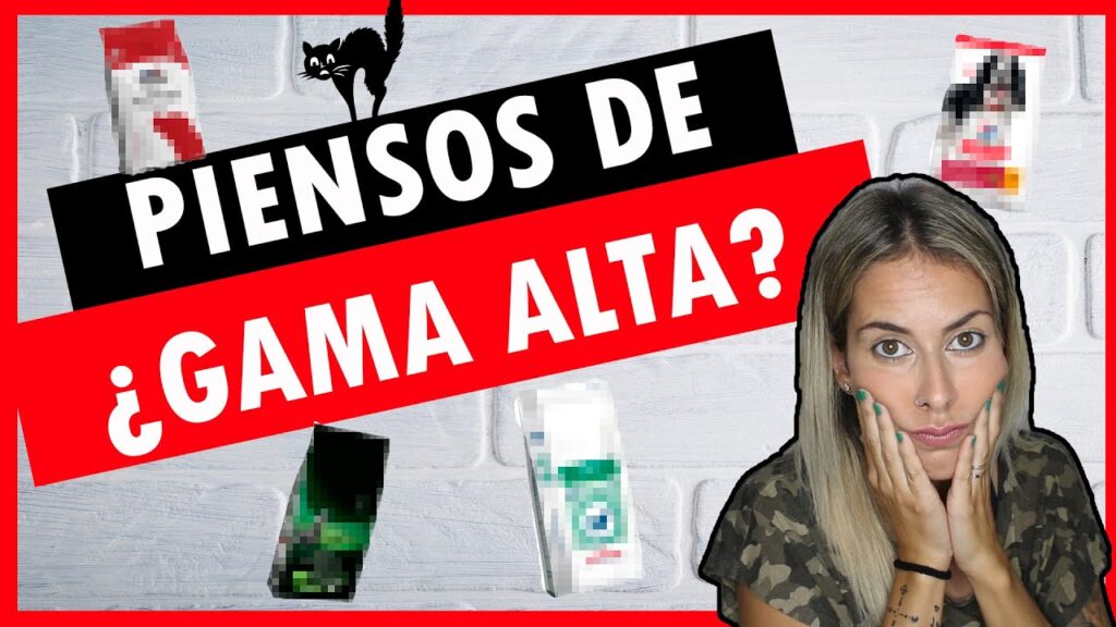 pienso para gatos royal canin opiniones
