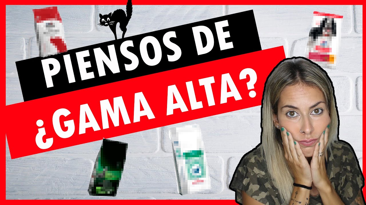 pienso para gatos royal canin opiniones