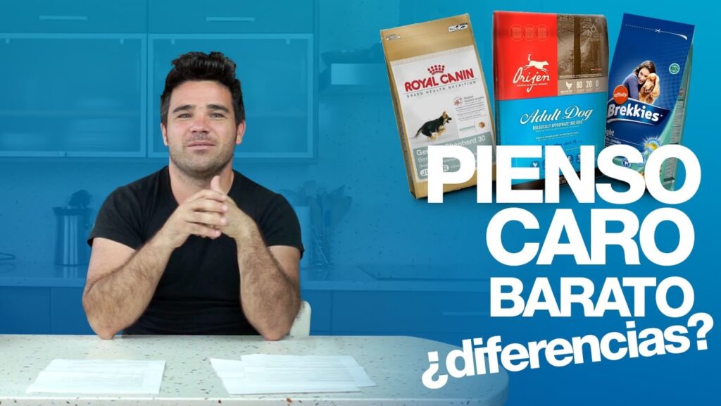 pienso para perros grandes barato y bueno