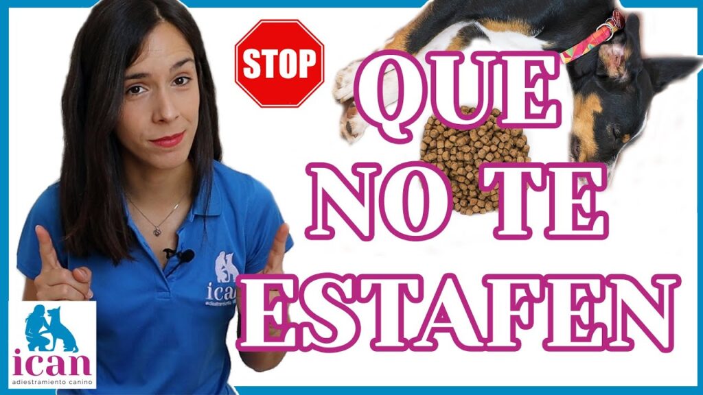 pienso para perros mantenimiento