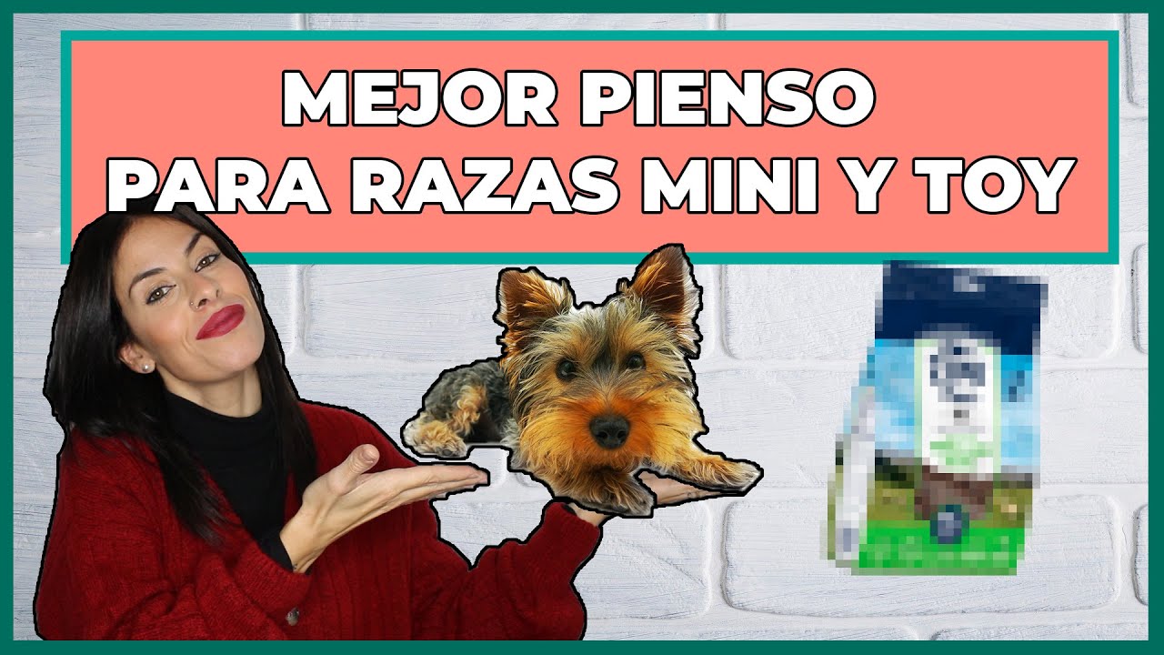 pienso para perros mini