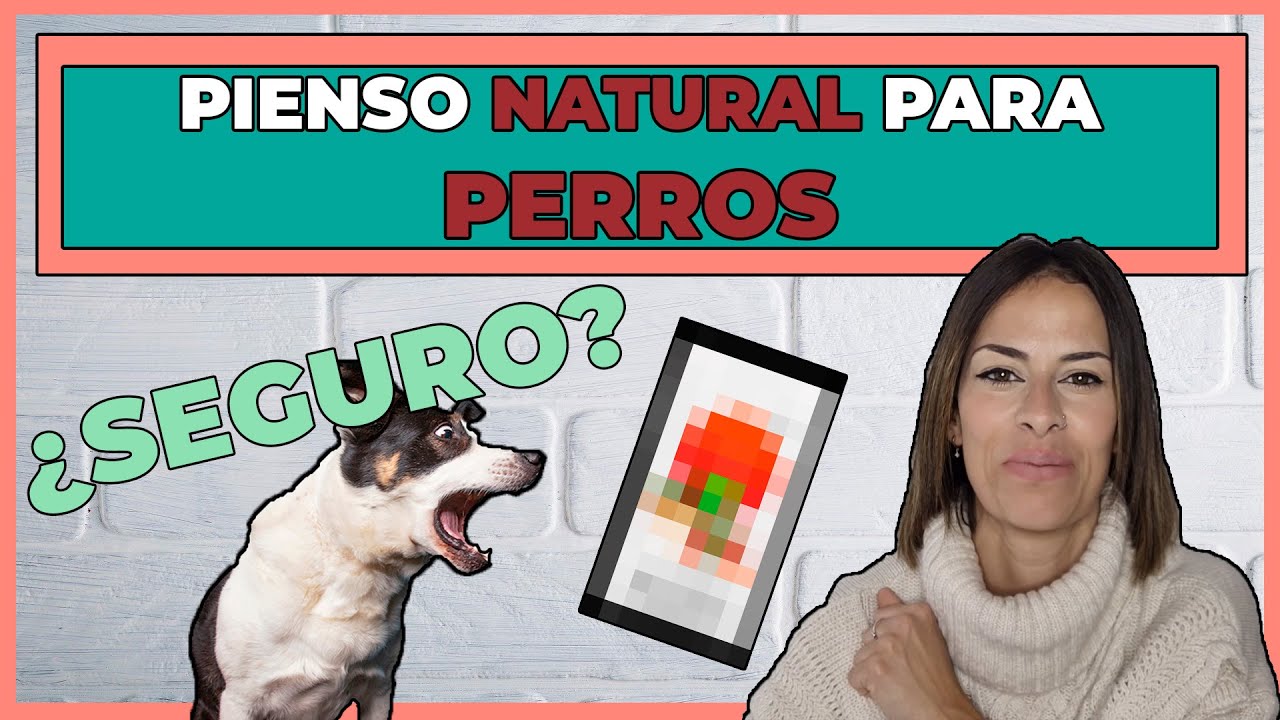 pienso para perros natura diet