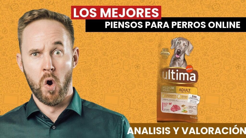 pienso para perros online