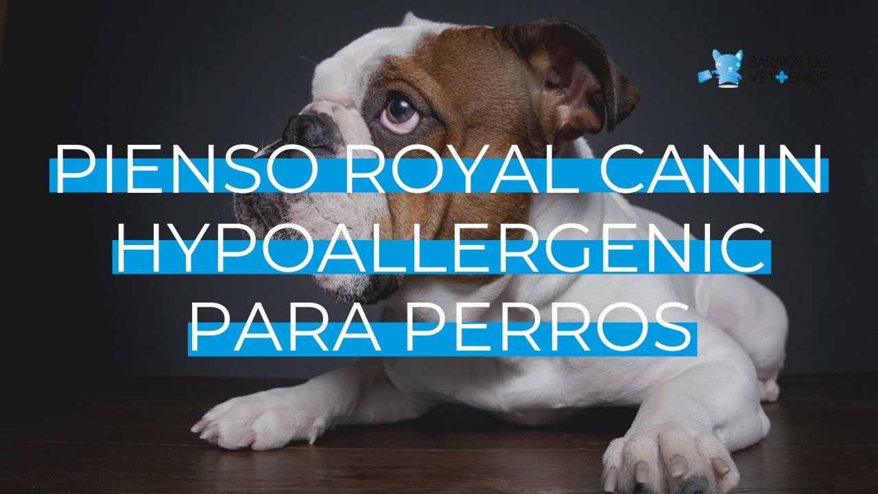 pienso para perros royal canin hipoalergenico