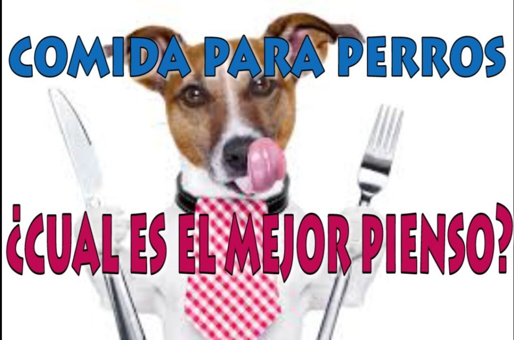pienso para perros semihumedo