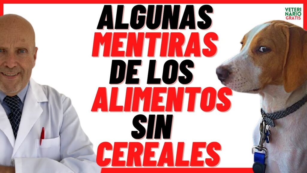 pienso para perros sin cereales