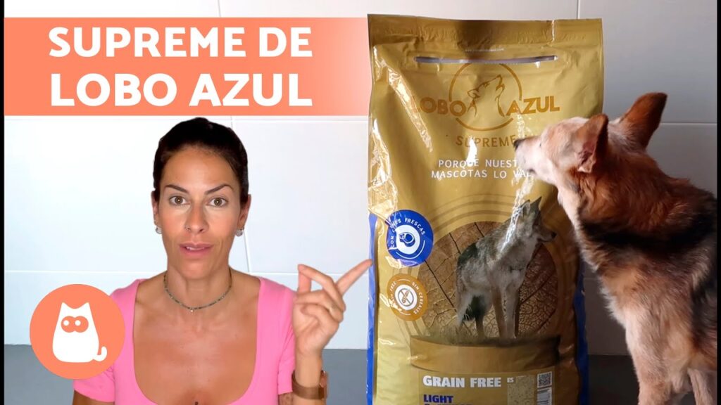 pienso para perros toledo