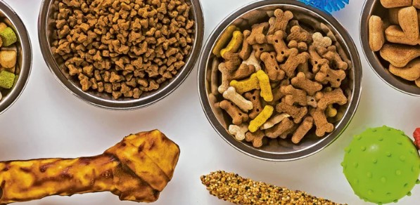 Tipos de alimentos para perros